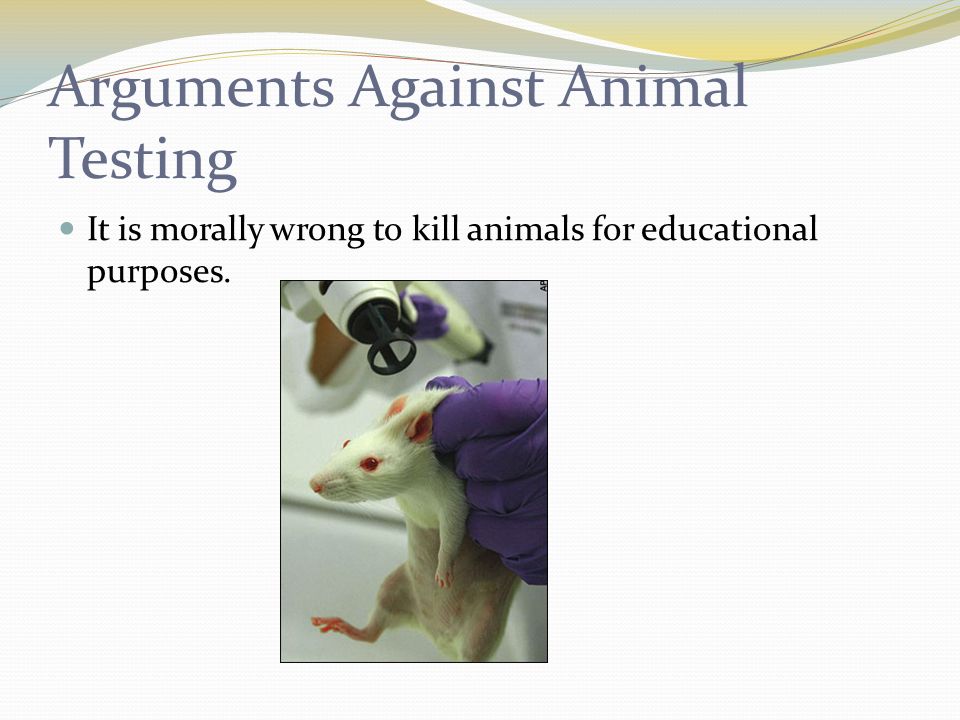 An argument in favor of animal testing for medical purposes and development